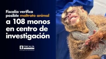 Fiscalía verifica posible maltrato animal a 108 monos en centro de investigación