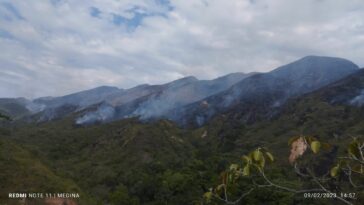 Incendios forestales afectan 5 municipios en el departamento del Huila.