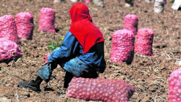 Los grandes desafíos de la frontera agrícola en Colombia