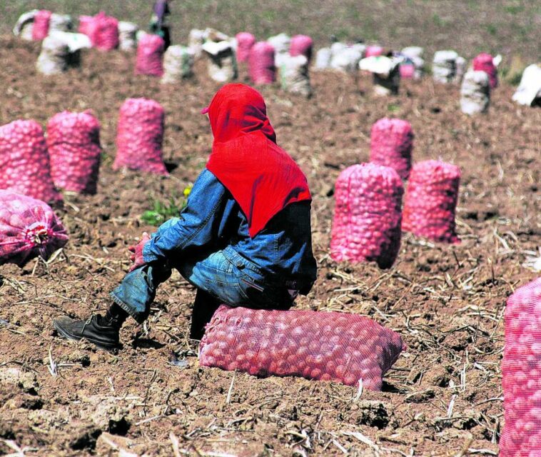 Los grandes desafíos de la frontera agrícola en Colombia