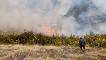 Incendios forestales