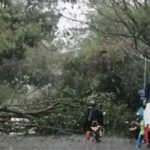 Vendaval ocasionó daños en el servicio de energía en varios puntos del departamento