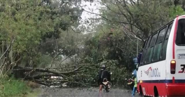 Vendaval ocasionó daños en el servicio de energía en varios puntos del departamento