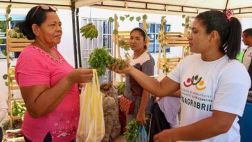 Zona Bananera recibirá por segunda vez la Feria ‘Magdalena Tierra de Agricultores’