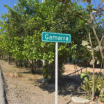 Zona urbana de Gamarra cuenta con calles pavimentadas