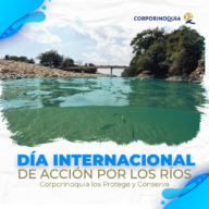 14 de marzo, día Internacional de acción por los ríos