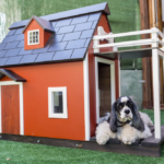 3 modelos de casas para perros ideales para tu canino