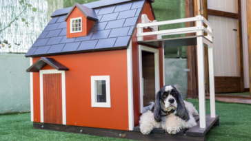 3 modelos de casas para perros ideales para tu canino