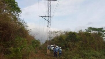 Afinia repuso redes hurtadas en la línea Ternera – Gambote