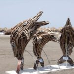 Atlántico: las canecas de madera que se suman a obras de ordenamiento de playas