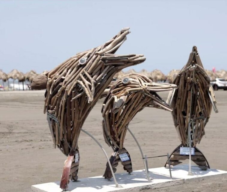 Atlántico: las canecas de madera que se suman a obras de ordenamiento de playas