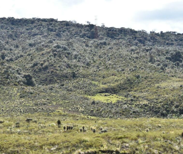 Buscan a 13 indígenas que desaparecieron en el oriente del Cauca