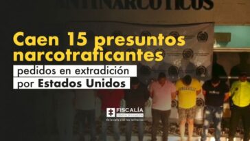 Caen 15 presuntos narcotraficantes pedidos en extradición por Estados Unidos