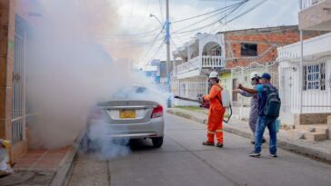 Cartagena registra 57 casos de dengue en la última semana epidemiológica, un caso corresponde a dengue grave