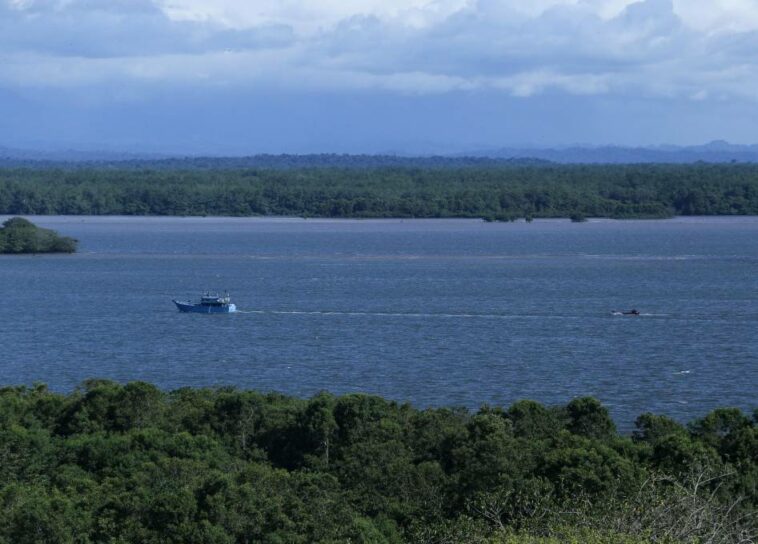 Colombia recibirá 43 millones de dólares del Fondo Verde para manejo de áreas protegidas