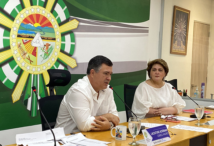 Con dos proyectos de ordenanza Asamblea cerró sesiones extraordinarias