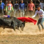 Corralejas en San Carlos, un espectáculo de buenas ganaderías