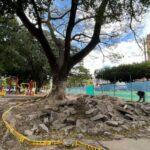 Cúcuta inicia el año 2023 con la renovación de seis parques