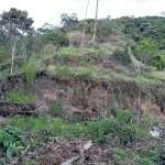 Denuncian daño ambiental en zona rural de Dosquebradas