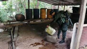 Destruido narco laboratorio que producía una tonelada de clorhidrato de cocaína al mes