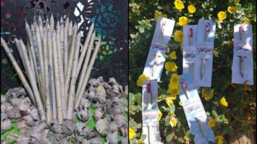 Ecomares, “lápices que se siembran”: Una empresa Dagua pensada para cuidar el planeta