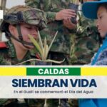 Ejército hace un relevo generacional para proteger los frailejones en el departamento de Caldas
