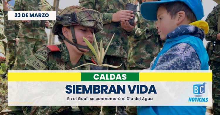 Ejército hace un relevo generacional para proteger los frailejones en el departamento de Caldas