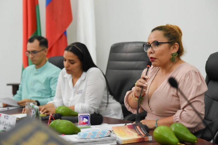 El gobierno departamental instaló el primer periodo de sesiones ordinarias en la Asamblea Departamental