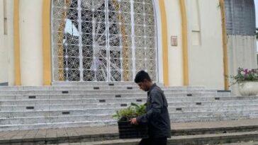 En Semana Santa 10.000 árboles nativos entregará Cormacarena a iglesias del Meta