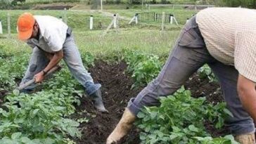 Especial: altos costos alteraron las estrategias empresariales