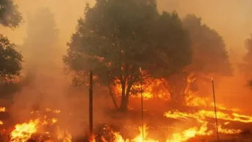 Incendio forestal acabó con viviendas en verada Praderas de Camperucho