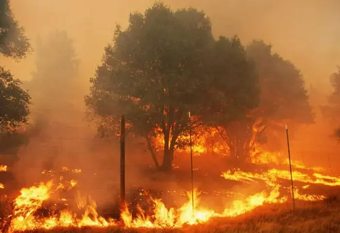 Incendio forestal acabó con viviendas en verada Praderas de Camperucho