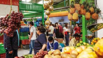 Inflación: alimentos que más subieron de precio en febrero de 2023