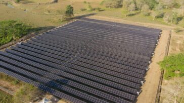 Instalan primera minigranja solar que genera energía para la red en el Caribe