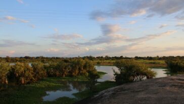 La lucha de una comunidad por mantener vivo el humedal «Laguna Mora»