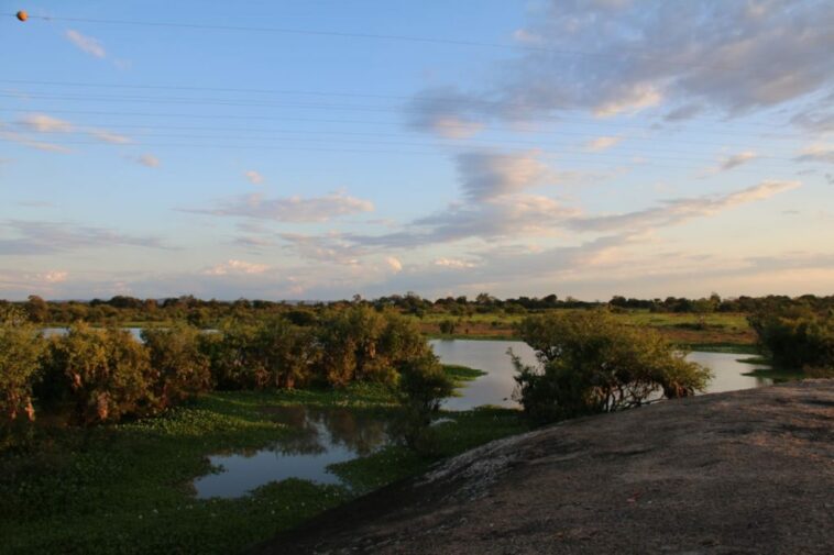 La lucha de una comunidad por mantener vivo el humedal «Laguna Mora»