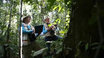 La tarea de las comunidades rurales para proteger los bosques del Cesar