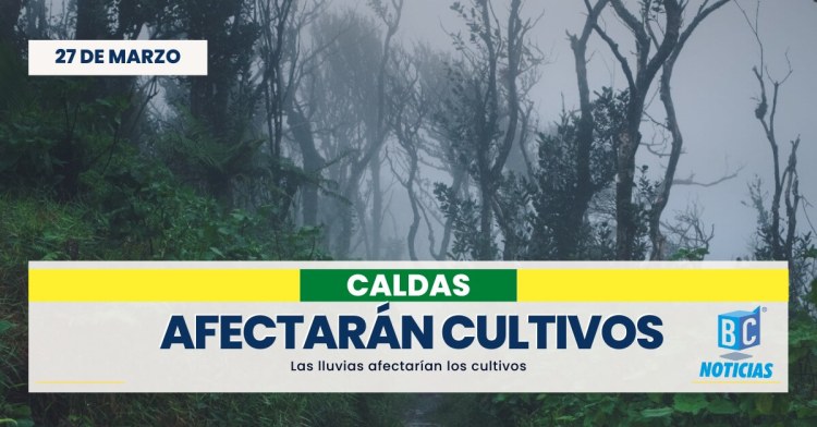 Las lluvias afectarían los cultivos en Caldas