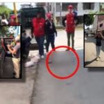 "Mataste al perro y lo quieres robar", gritaban a los ocupantes de una furgoneta en Villagorgona