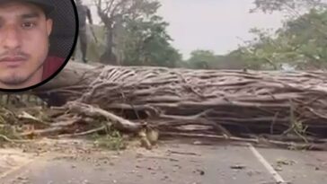 Minero falleció tras chocarse contra un árbol que bloqueaba la carretera