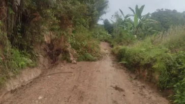 Ola invernal golpeó a Vegalarga