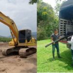 Operativos y controles a infractores ambientales dejan decomisos e incautaciones en Pitalito