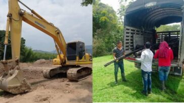 Operativos y controles a infractores ambientales dejan decomisos e incautaciones en Pitalito