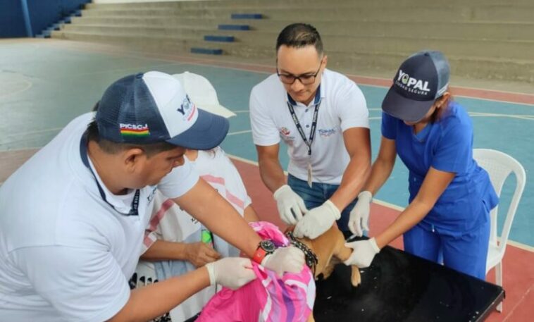 Peluditos felices dejó brigada médica veterinaria en Morichal