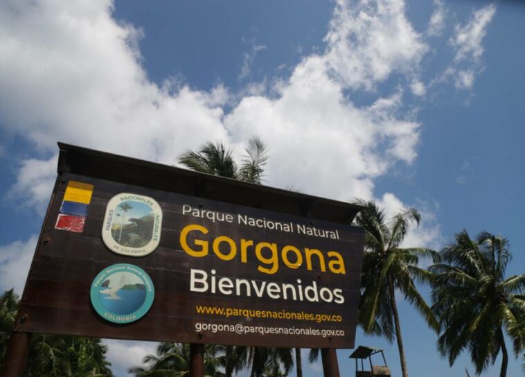 Procuraduría pidió explicaciones al Gobierno por polémico proyecto en el Parque Gorgona