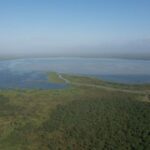 Se estabiliza producción y distribución de agua en plantas El Bosque, afectadas por proliferación de algas marinas