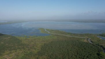 Se estabiliza producción y distribución de agua en plantas El Bosque, afectadas por proliferación de algas marinas