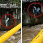 Un rescate arriesgado: el perro quedó atrapado en el río Cali y dos hombres lo sacaron