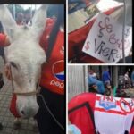 Una burra con mensajes para hinchas junioristas, llevaron hinchas americanos al estadio: juego América – Junior en Cali