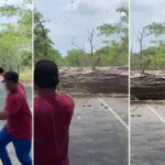 [VIDEO] Campesinos de Paro Minero derribaron gigantescos árboles para bloquear la caravana humanitaria